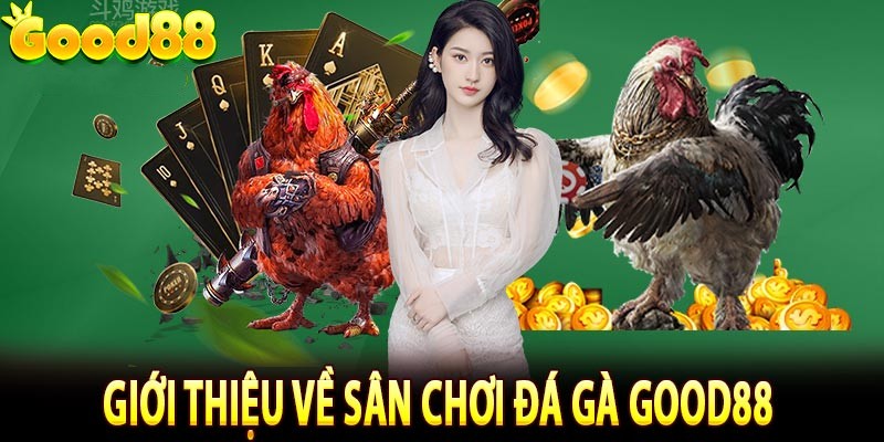 Tìm hiểu về đá gà trực tuyến Good88