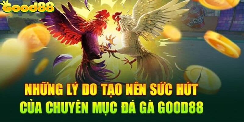 Lý do khiến đá gà Good88 được yêu thích